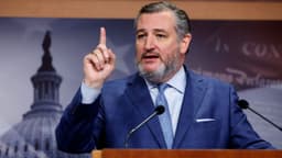 Ted Cruz pours cold water on Trump admin plan to bail out Spirit Airlines: 'TERRIBLE idea'