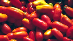 Popular food brand Cento accused of ‘tomato fraud’ in lawsuit